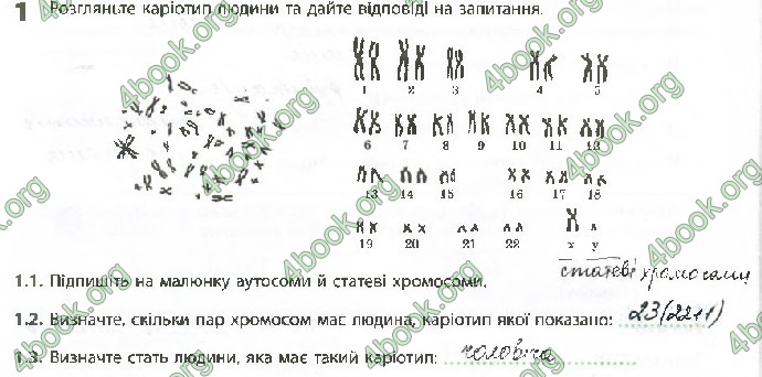 Решебник Зошит Біологія 10 клас Задорожний 2018 (Станд.)