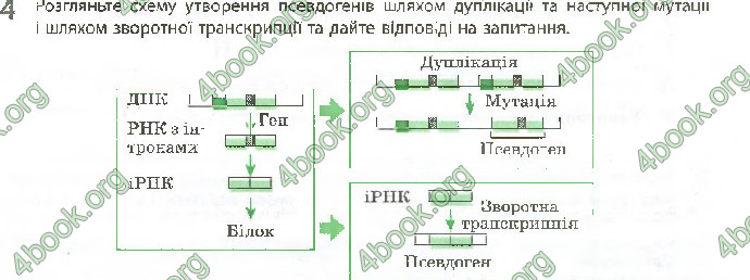 Решебник Зошит Біологія 10 клас Задорожний 2018 (Станд.)