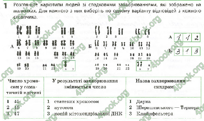 Решебник Зошит Біологія 10 клас Задорожний 2018 (Станд.)