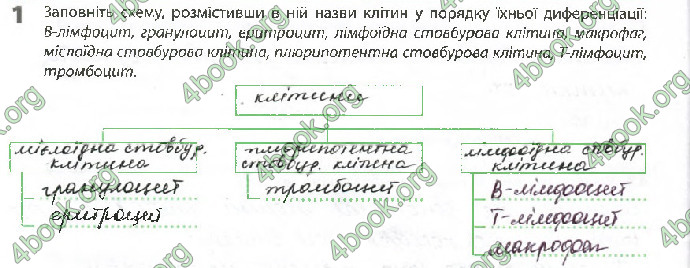 Решебник Зошит Біологія 10 клас Задорожний 2018 (Станд.)