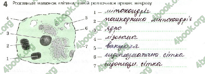 Решебник Зошит Біологія 10 клас Задорожний 2018 (Станд.)