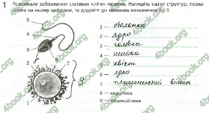 Решебник Зошит Біологія 10 клас Задорожний 2018 (Станд.)