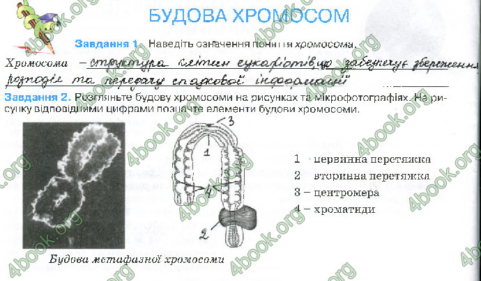 Решебник Зошит біологія 10 клас Андерсон 2018. ГДЗ