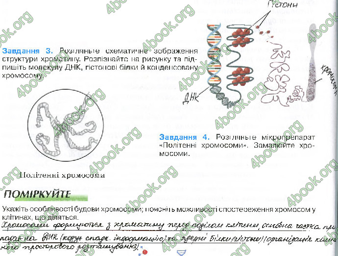 Решебник Зошит біологія 10 клас Андерсон 2018. ГДЗ