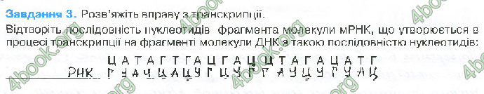 Решебник Зошит біологія 10 клас Андерсон 2018. ГДЗ