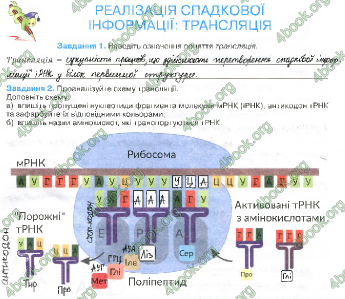 Решебник Зошит біологія 10 клас Андерсон 2018. ГДЗ