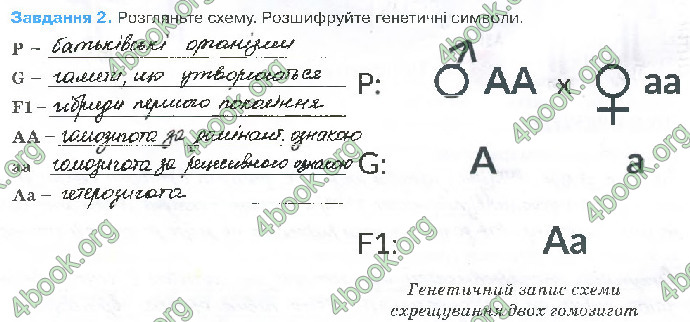 Решебник Зошит біологія 10 клас Андерсон 2018. ГДЗ