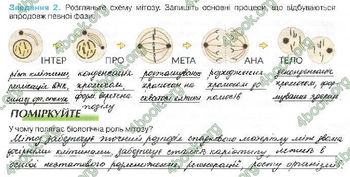 Решебник Зошит біологія 10 клас Андерсон 2018. ГДЗ