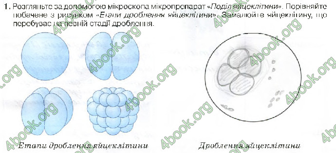 Решебник Зошит біологія 10 клас Андерсон 2018. ГДЗ