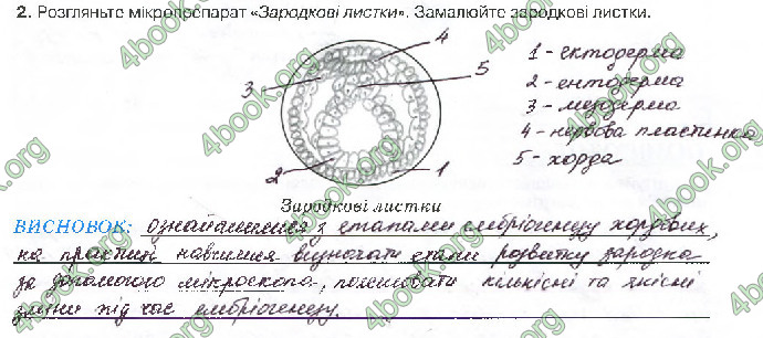 Решебник Зошит біологія 10 клас Андерсон 2018. ГДЗ