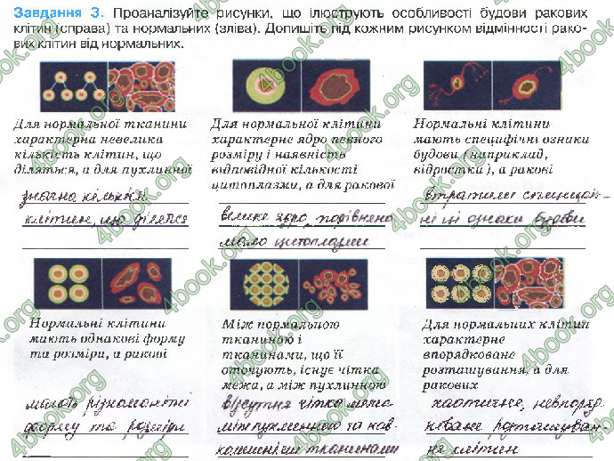 Решебник Зошит біологія 10 клас Андерсон 2018. ГДЗ