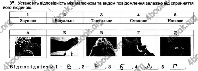 Відповіді Зошит Інформатика 5 клас Ривкінд 2018. ГДЗ