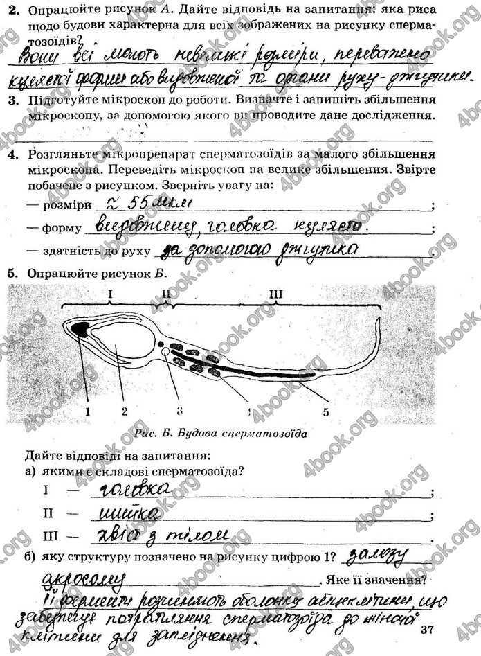 Решебник Зошит Біологія 10 клас Сало 2018. ГДЗ