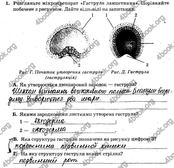 Решебник Зошит Біологія 10 клас Сало 2018. ГДЗ