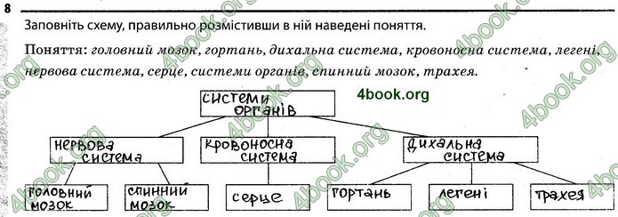 Відповіді Зошит Біологія 7 клас Задорожний. ГДЗ