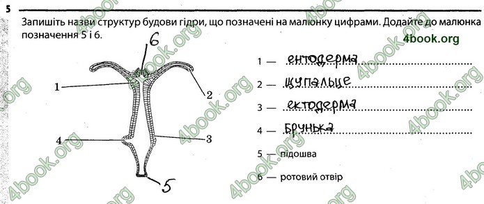 Відповіді Зошит Біологія 7 клас Задорожний. ГДЗ