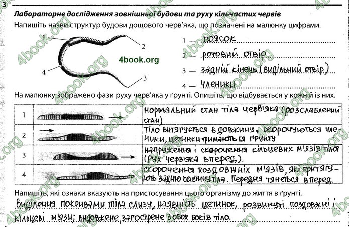 Відповіді Зошит Біологія 7 клас Задорожний. ГДЗ