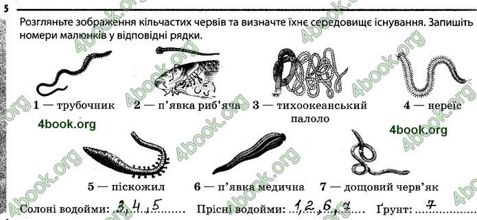 Відповіді Зошит Біологія 7 клас Задорожний. ГДЗ