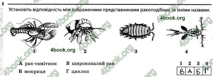 Відповіді Зошит Біологія 7 клас Задорожний. ГДЗ