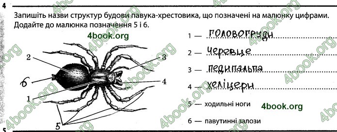 Відповіді Зошит Біологія 7 клас Задорожний. ГДЗ