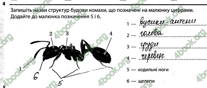 Відповіді Зошит Біологія 7 клас Задорожний. ГДЗ