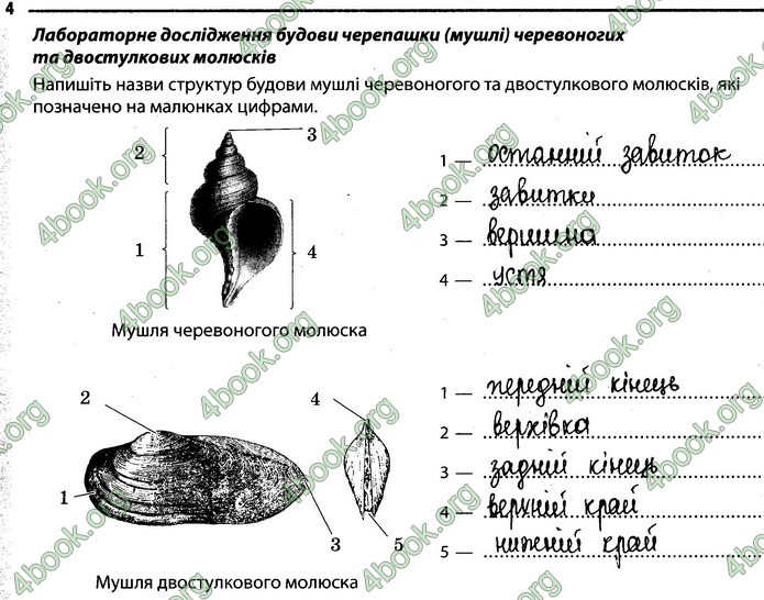 Відповіді Зошит Біологія 7 клас Задорожний. ГДЗ