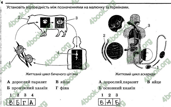 Відповіді Зошит Біологія 7 клас Задорожний. ГДЗ