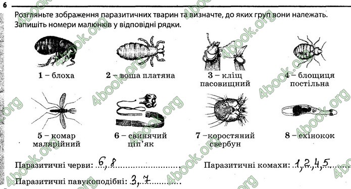 Відповіді Зошит Біологія 7 клас Задорожний. ГДЗ