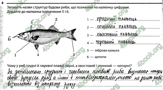 Відповіді Зошит Біологія 7 клас Задорожний. ГДЗ