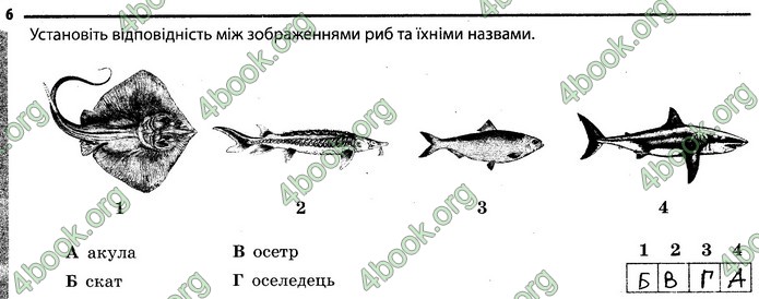 Відповіді Зошит Біологія 7 клас Задорожний. ГДЗ