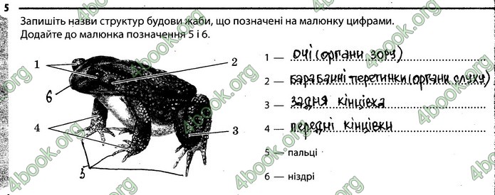 Відповіді Зошит Біологія 7 клас Задорожний. ГДЗ