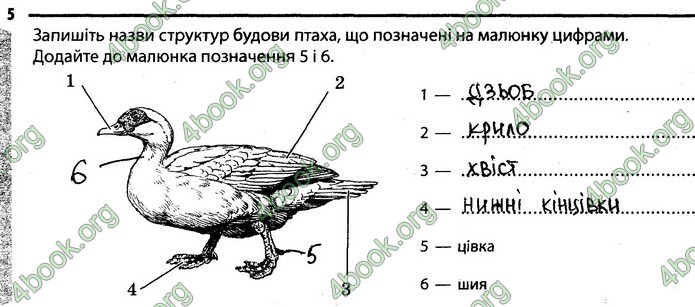 Відповіді Зошит Біологія 7 клас Задорожний. ГДЗ