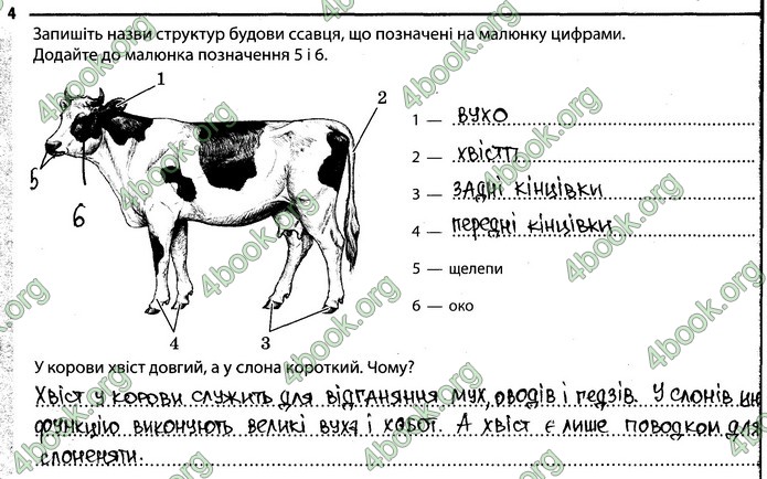 Відповіді Зошит Біологія 7 клас Задорожний. ГДЗ