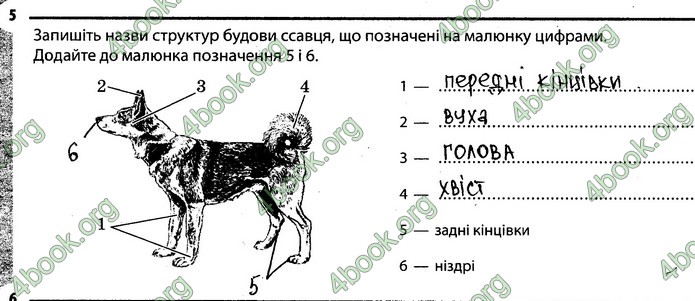 Відповіді Зошит Біологія 7 клас Задорожний. ГДЗ