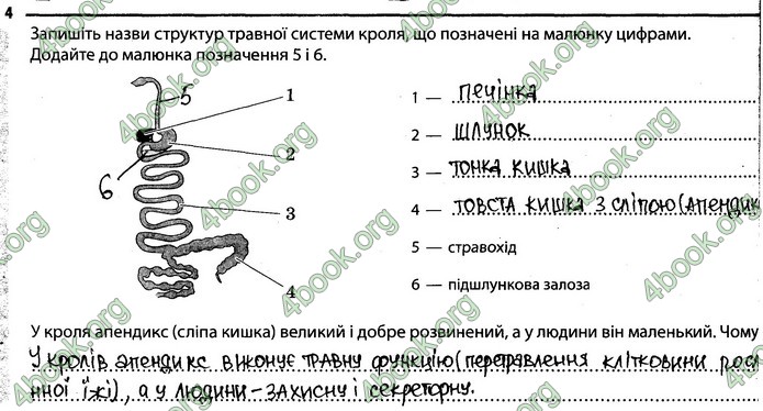 Відповіді Зошит Біологія 7 клас Задорожний. ГДЗ