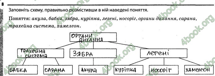 Відповіді Зошит Біологія 7 клас Задорожний. ГДЗ