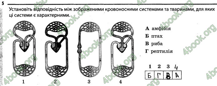 Відповіді Зошит Біологія 7 клас Задорожний. ГДЗ