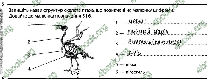 Відповіді Зошит Біологія 7 клас Задорожний. ГДЗ