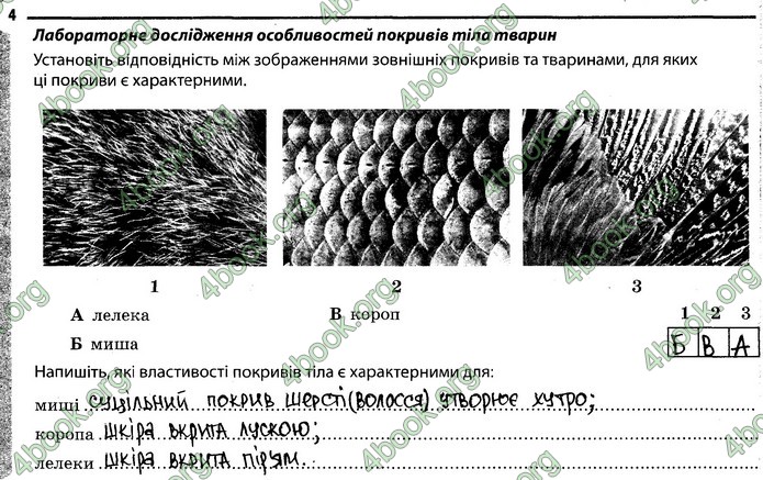 Відповіді Зошит Біологія 7 клас Задорожний. ГДЗ