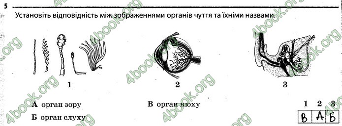 Відповіді Зошит Біологія 7 клас Задорожний. ГДЗ