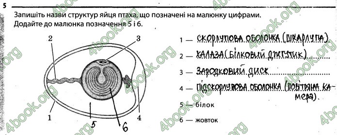 Відповіді Зошит Біологія 7 клас Задорожний. ГДЗ