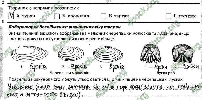 Відповіді Зошит Біологія 7 клас Задорожний. ГДЗ