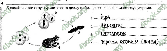 Відповіді Зошит Біологія 7 клас Задорожний. ГДЗ