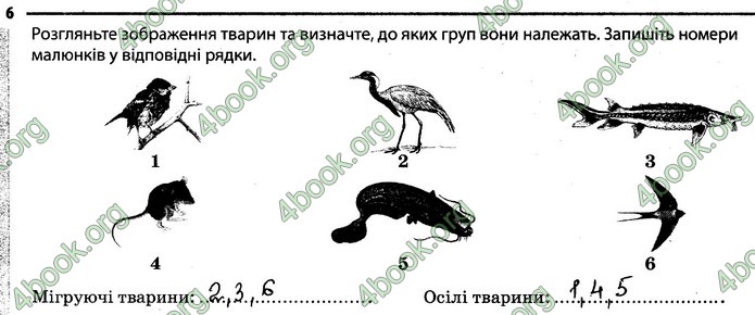 Відповіді Зошит Біологія 7 клас Задорожний. ГДЗ