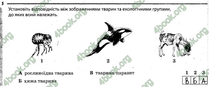 Відповіді Зошит Біологія 7 клас Задорожний. ГДЗ