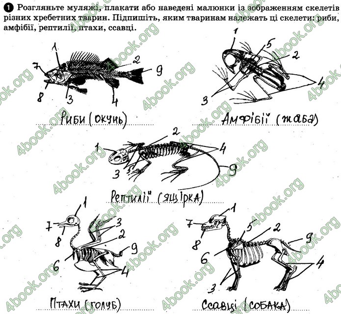 Відповіді Зошит Біологія 7 клас Задорожний. ГДЗ