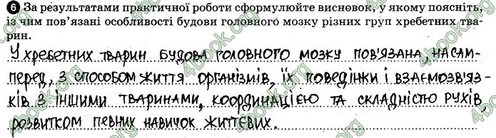 Відповіді Зошит Біологія 7 клас Задорожний. ГДЗ