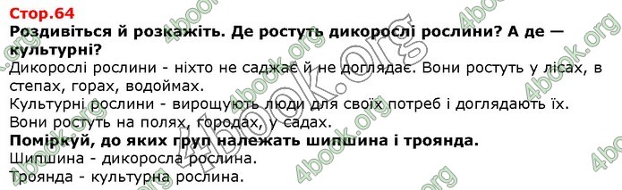ГДЗ Я досліджую світ 1 клас Грущинська