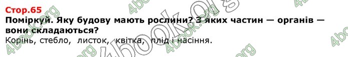ГДЗ Я досліджую світ 1 клас Грущинська
