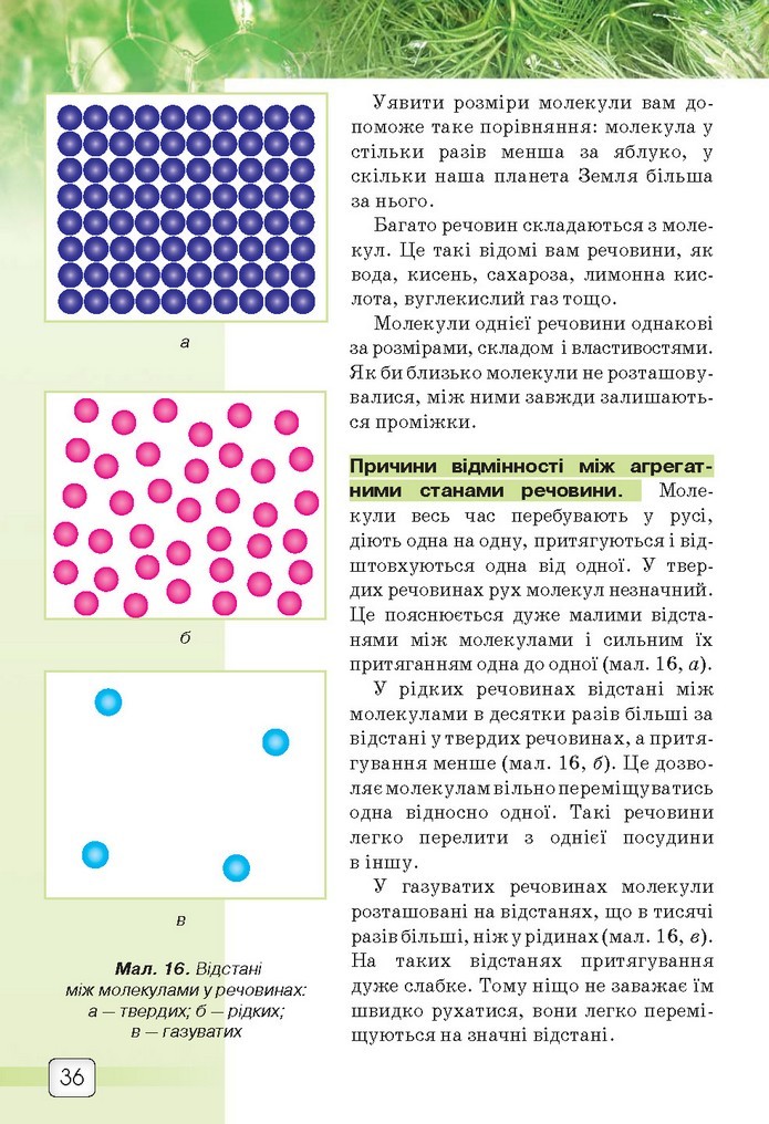 Природознавство 5 клас Ярошенко 2018